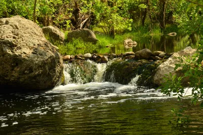 DSC_6367 (Large).JPG